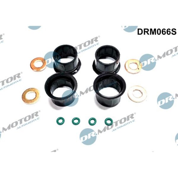 Dr.Motor Automotive DRM066S Dichtungssatz, Einspritzdüse