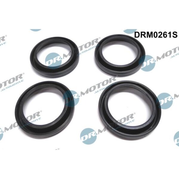 Dr.Motor Automotive DRM0261S Dichtung, Düsenhalter