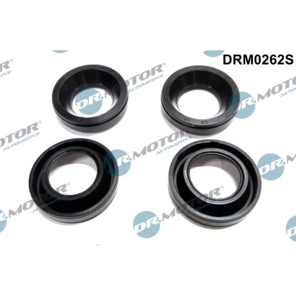 Dr.Motor Automotive DRM0262S Dichtung, Düsenhalter