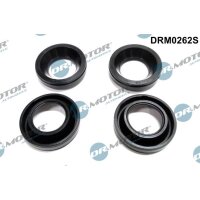 Dr.Motor Automotive DRM0262S Dichtung, Düsenhalter