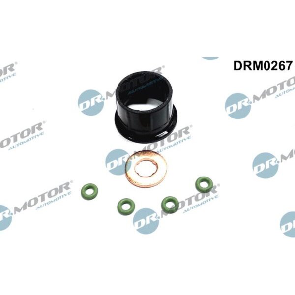 Dr.Motor Automotive DRM0267 Dichtungssatz, Einspritzdüse