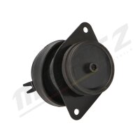 MERTZ M-S4850 Lagerung, Motor