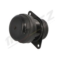 MERTZ M-S4850 Lagerung, Motor