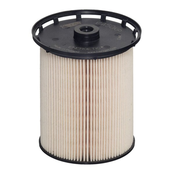 HENGST FILTER E450KP D348 Kraftstofffilter