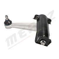 MERTZ M-S2131 Lenker, Radaufhängung