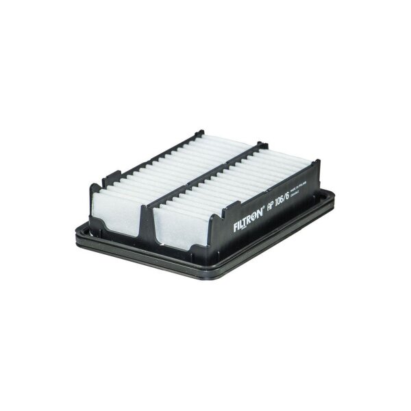 FILTRON AP 106/6 Luftfilter