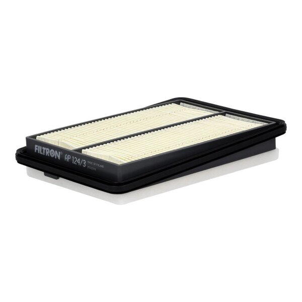 FILTRON AP 124/3 Luftfilter