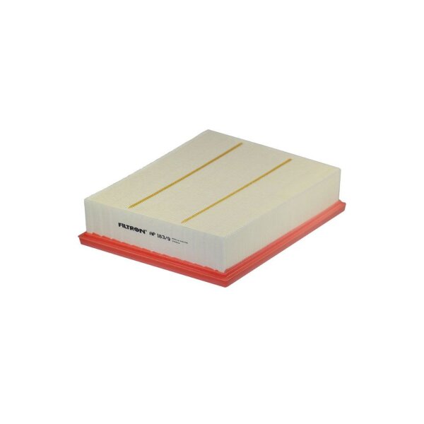 FILTRON AP 183/9 Luftfilter