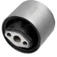 LEMFÖRDER 42166 01 Lagerung, Lenker