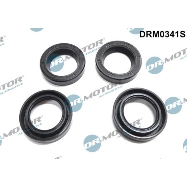Dr.Motor Automotive DRM0341S Dichtung, Düsenhalter