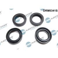 Dr.Motor Automotive DRM0341S Dichtung, Düsenhalter