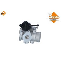 NRF 48333 AGR-Ventil