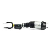 Arnott AS-3060 Luftfederbein