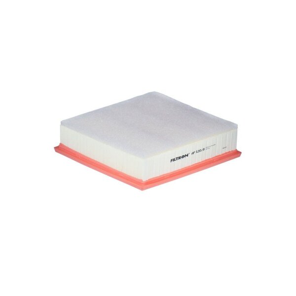 FILTRON AP 120/8 Luftfilter