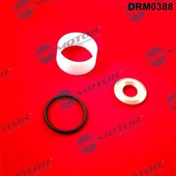 Dr.Motor Automotive DRM0388 Dichtungssatz, Einspritzdüse