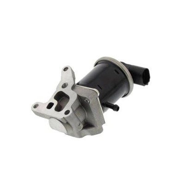 MAGNETI MARELLI 571822112068 AGR-Ventil
