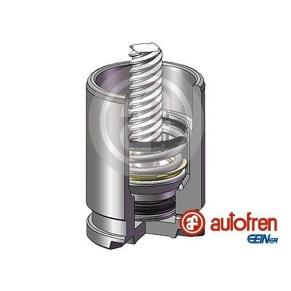 AUTOFREN SEINSA D025530K Kolben, Bremssattel