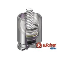 AUTOFREN SEINSA D025530K Kolben, Bremssattel