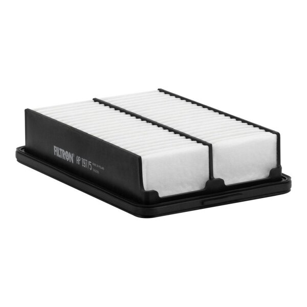 FILTRON AP 197/5 Luftfilter
