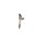 BOSCH 0 445 110 954 Einspritzdüse