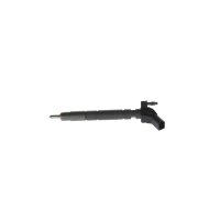 BOSCH 0 445 117 079 Einspritzdüse