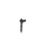 BOSCH 0 445 117 079 Einspritzdüse