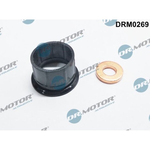 Dr.Motor Automotive DRM0269 Dichtungssatz, Einspritzdüse