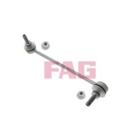 Schaeffler FAG 818 0439 10 Stange/Strebe, Stabilisator