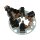 AS-PL SBH6020S Halter, Kohlebürsten