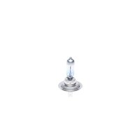 BOSCH 1 987 301 137 Glühlampe, Fernscheinwerfer