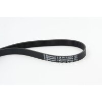 CONTINENTAL CTAM 6PK905 EXTRA Keilrippenriemen