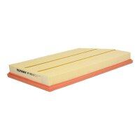 FILTRON AP 035/9 Luftfilter