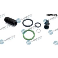 Dr.Motor Automotive DRM005L Reparatursatz,...