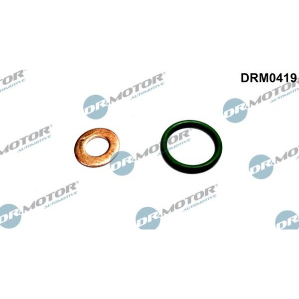 Dr.Motor Automotive DRM0419 Dichtungssatz, Einspritzdüse