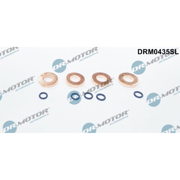 Dr.Motor Automotive DRM0435SL Dichtungssatz, Einspritzdüse