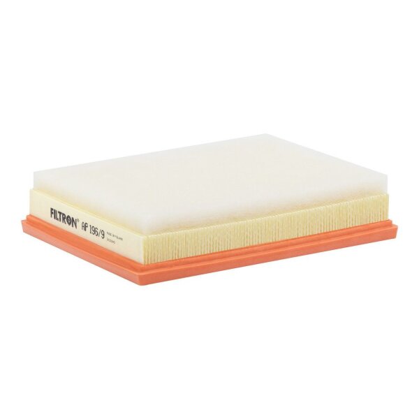 FILTRON AP 196/9 Luftfilter