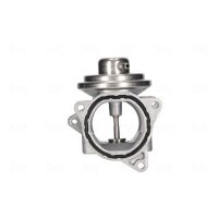 NISSENS 98173 AGR-Ventil