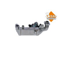 NRF 48365 AGR-Ventil