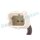 RAP BRAKES R-A0180 Sensor, Raddrehzahl