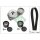 Schaeffler INA 529 0050 10 Keilrippenriemensatz