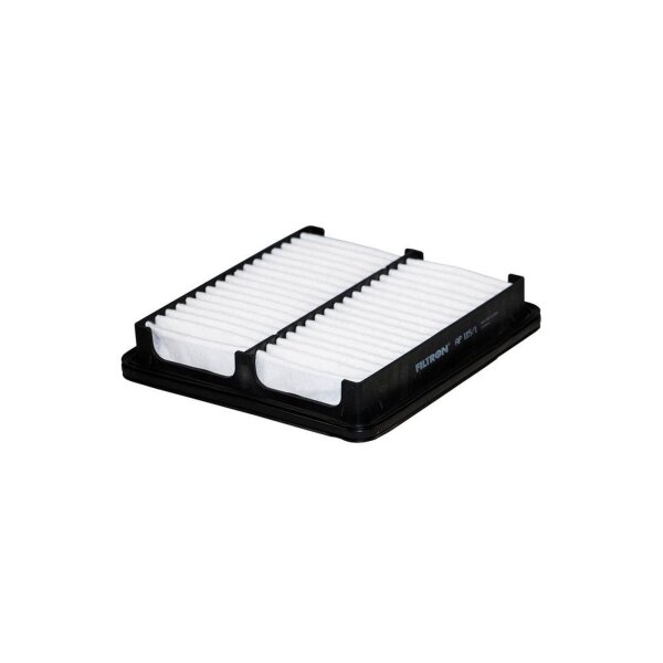 FILTRON AP 115/1 Luftfilter