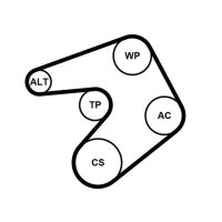 CONTINENTAL CTAM 6PK1205K1 Keilrippenriemensatz