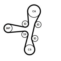 CONTINENTAL CTAM CT1220 Zahnriemen