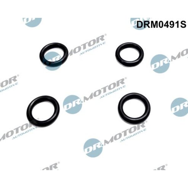 Dr.Motor Automotive DRM0491S Dichtring, Einspritzventil
