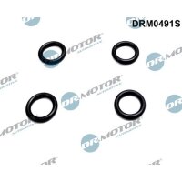 Dr.Motor Automotive DRM0491S Dichtring, Einspritzventil
