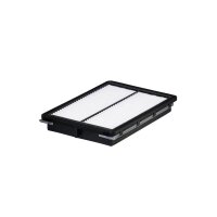 FILTRON AP 197/8 Luftfilter
