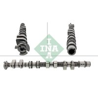 Schaeffler INA 428 0175 10 Nockenwelle