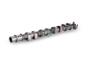 Schaeffler INA 428 0175 10 Nockenwelle