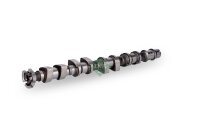 Schaeffler INA 428 0175 10 Nockenwelle