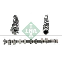 Schaeffler INA 428 0176 10 Nockenwelle